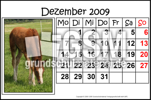 12-Dezember-2009-quer.jpg